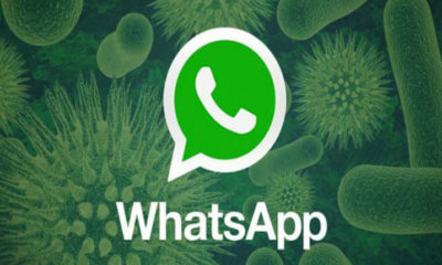 Un nuevo tipo de malware roba credenciales de usuarios de WhatsApp 102